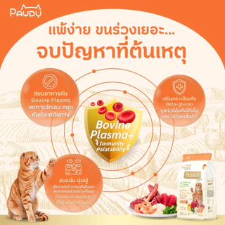 Pawdy อาหารแมวเกรดพรีเมียม Holistic สำหรับแมวโต อายุ 1-6 ปี สูตรเนื้อแกะและทูน่าผสมเนื้อกุ้ง ขนาด 6 กก.