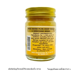 Wangpromherb สมุนไพรวังพรม ยาหม่องสมุนไพร กลิ่นดอกโมก ตรา 8 ทิศ ขนาด 50 กรัม ( 1 ขวด)