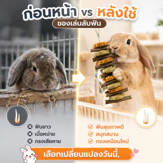 โมบายคุ้กกี้ทิโมธี ของเล่นกระต่าย คุ้กกี้หญ้า ลับฟัน หมดปัญหาฟันยาว สำหรับสัตว์ฟันแทะ กระต่าย แกสบี้