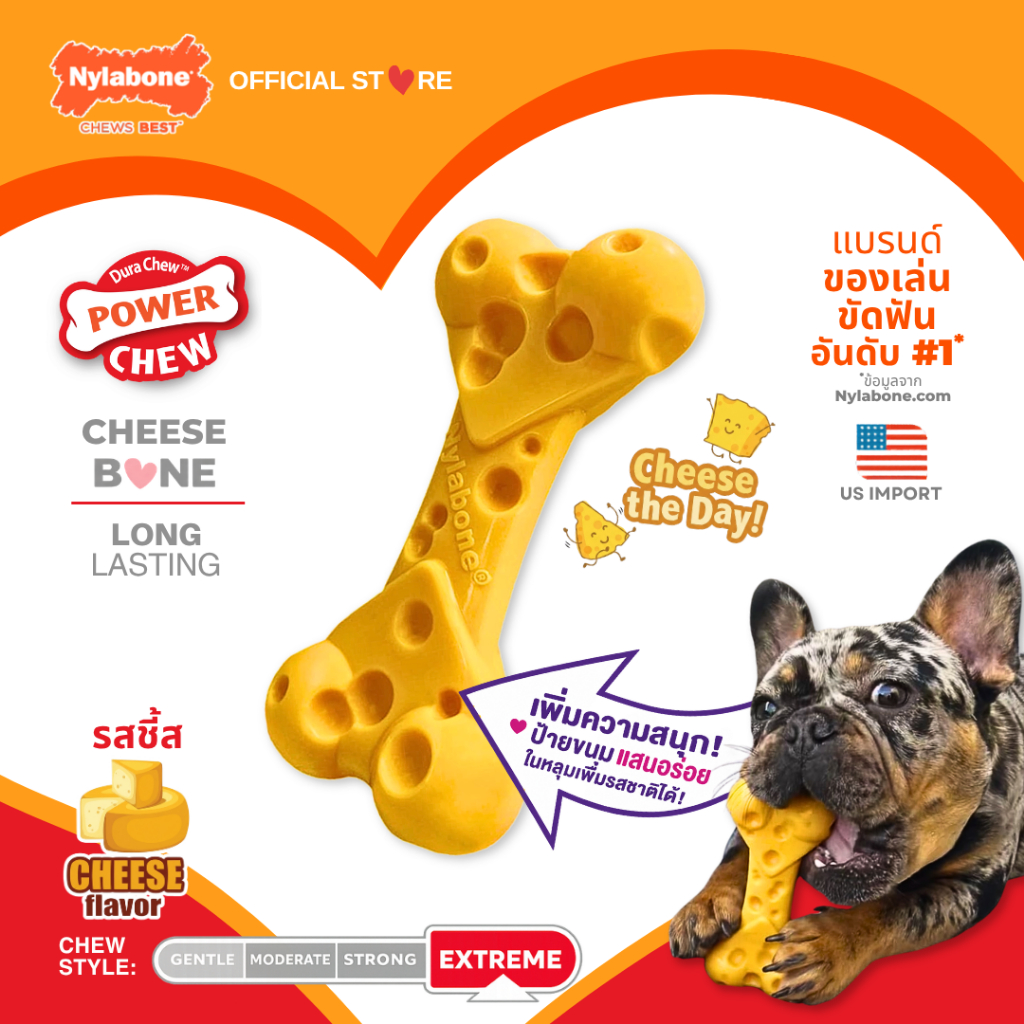 Nylabone Power Chew Cheese Bone Dog Toy Cheese Flavor ของเล่นขัดฟันสุนัข ไร้สารพิษ แก้เบื่อ