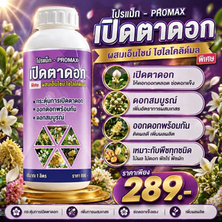 เปิดตาดอกโปรแม็ก ดอกดก ติดผลมากขึ้น ผลดก ผลใหญ่ บำรุงพืช สาหร่ายอะมิโน เปิดตาดอกทุเรียน 1ลิตร