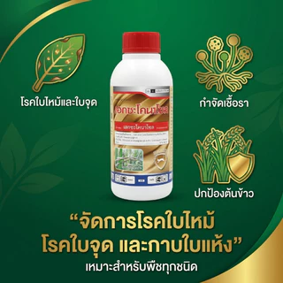 เฮกซะโคนาโซล 1000cc. ตราแมวทองคำ สารป้องกันกำจัดโรคพืช กำจัดโรคใบไหม้ เมล็ดด่าง ใบจุดในกล้วยไม้ แอนแทรคโนสในทุเรียน
