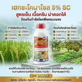 เฮกซะโคนาโซล 1000cc. ตราแมวทองคำ สารป้องกันกำจัดโรคพืช กำจัดโรคใบไหม้ เมล็ดด่าง ใบจุดในกล้วยไม้ แอนแทรคโนสในทุเรียน
