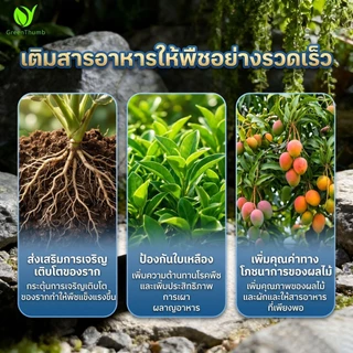 【GreenThumb】ปุ๋ยเร่งดอกเบอร์ 2 250 กรัม เร่งดอก เพิ่มสี ยืดเวลาดอกบาน ปุ๋ยดอกไม้ ใช้ได้กับไม้ดอกทุกชนิด