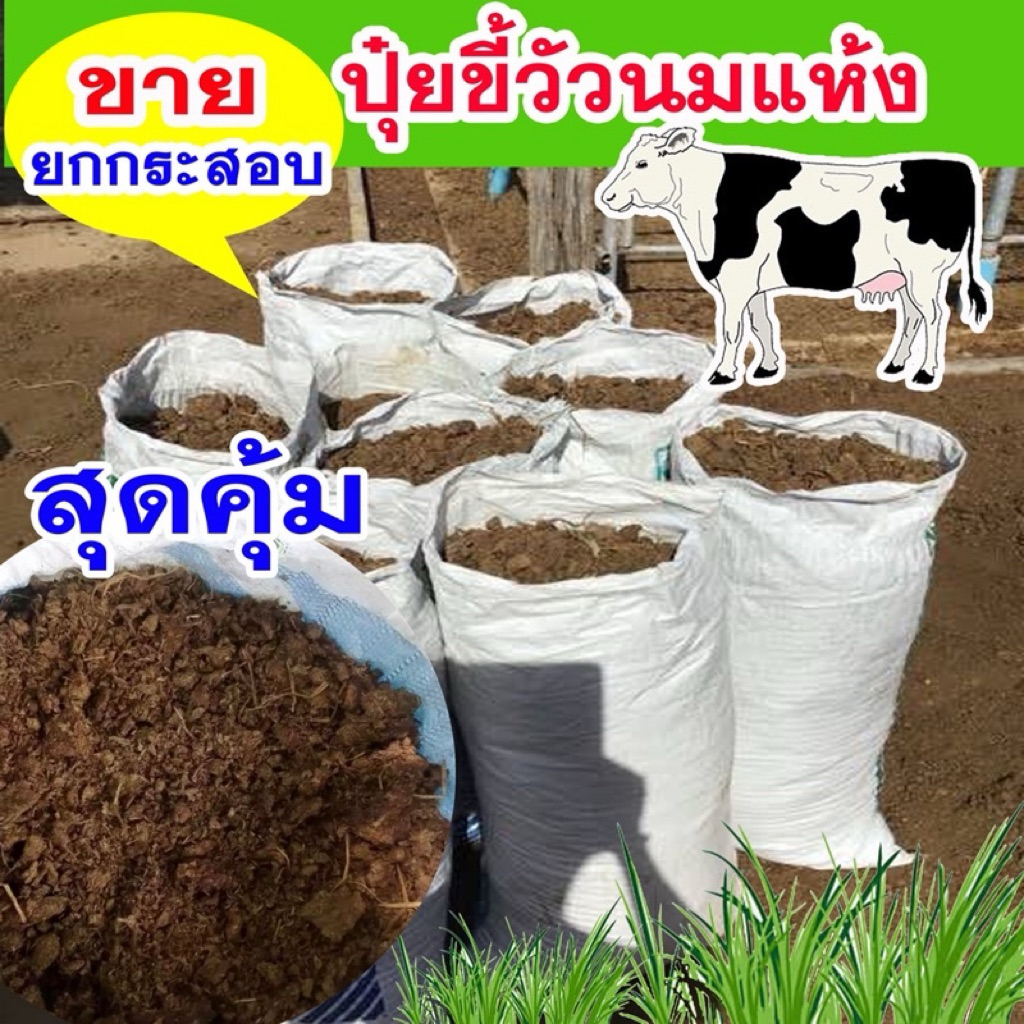 🌿 ปุ๋ยขี้วัวตากแห้งคุณภาพ บรรจุกระสอบ