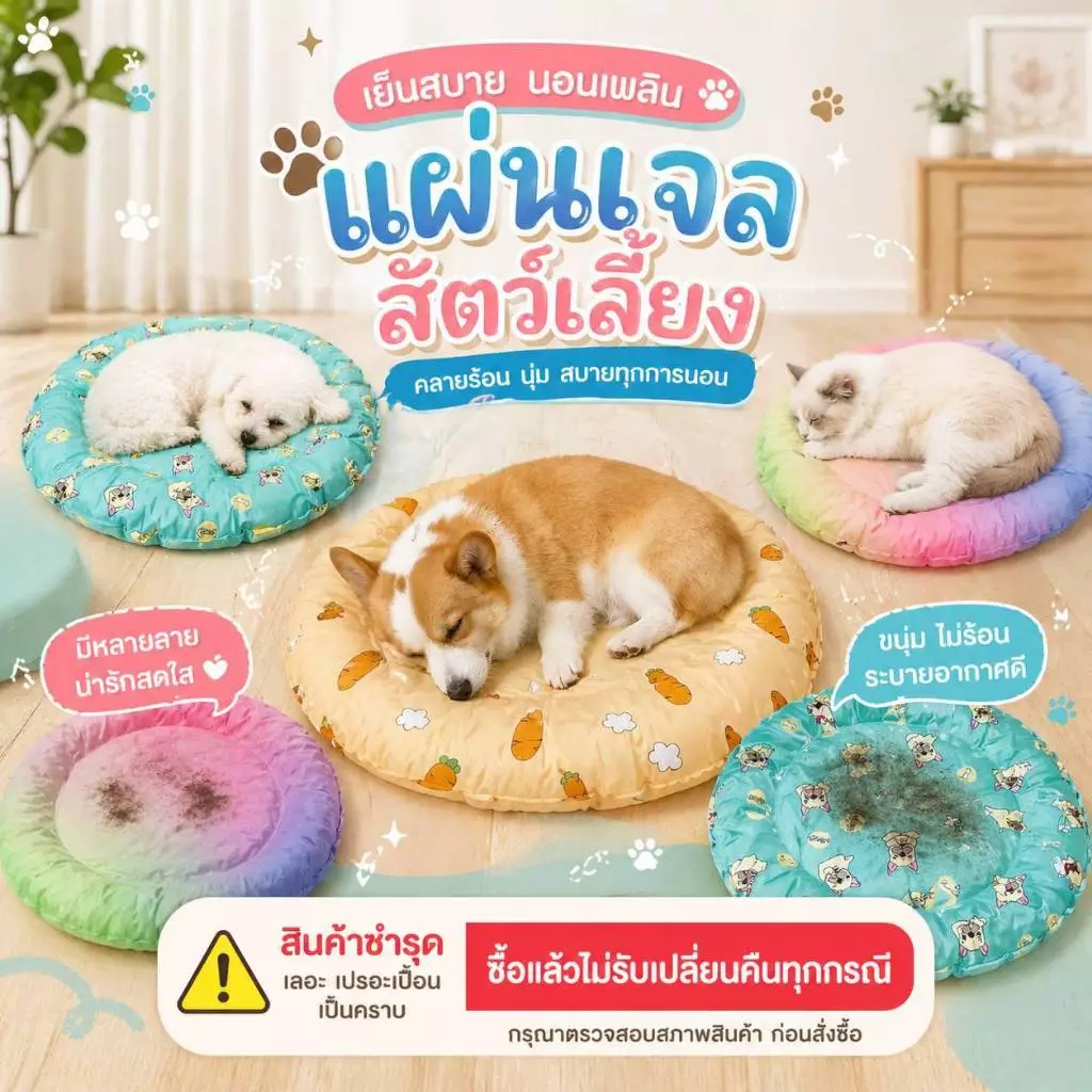 Boqi  Pet Cool mat   เย็นสบาย แผ่นเจลเย็น ที่นอนเย็น แผ่นทำความเย็น สินค้าเลอะ เปอะเปื่อน SALE 1010 thumbnail 5