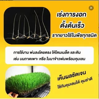 เอ-แบล็ค (A-Black) สารบำรุงพืชสูตรเข้มข้น ฟื้นฟูต้นหลังเก็บเกี่ยว ช่วยแตกราก แตกกอ สำหรับพืชทุกชนิด (ขนาด 1 ลิตร)