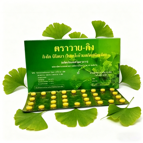 ใบแป๊ะก๊วยสกัดชนิดเม็ด Y-gink 30 เม็ด กิงโก บิโลบา ตราวาย-กิง  Ginkgo