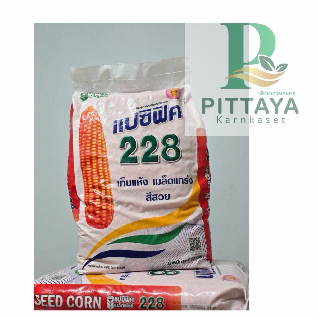 ข้าวโพดแปซิฟิค 228 ขนาด 10 กิโลกรัม ( 3.5 หุน ) พันธุ์น้องใหม่ เก็บแห้ง  120 วัน