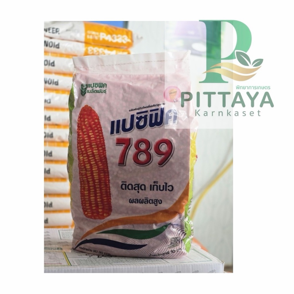 ข้าวโพดแปซิฟิค 789 เมล็ด 3.5 หุน ขนาด 10 กิโลกรัม ติดสุดปลายฝัก ผลผลิตต่อไร่สูง