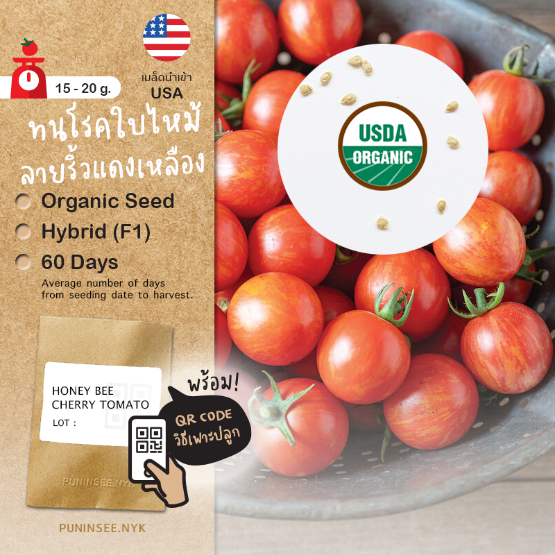 เมล็ดนำเข้า มะเขือเทศเชอรี่รสเยี่ยม ลายริ้ว Honey Bee (Organic F1) Cherry Tomato พันธุ์ลูกผสม ปันอินทรีย์