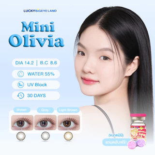 คอนแทคเลนส์ Mini Olivia Brown / Light Brown / Gray (Kitty Kawaii) ขนาดมินิ 🌷 ลายฮิต ขายดีมาก
