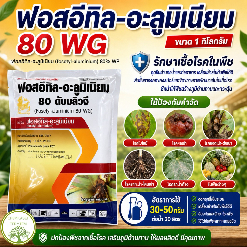 ฟอสอีทิล 80% ละลายน้ำง่าย ขนาด 1 กิโลกรัม โรครากเน่าโคนเน่าผลเน่า ไฟท็อปธอร่า โรคราน้ำค้าง โรคราแป้ง