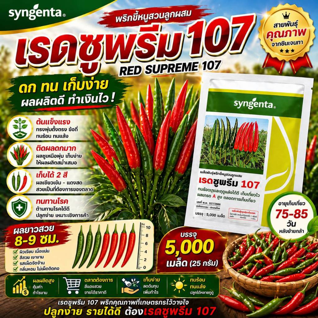 เมล็ดพันธุ์พริกฮ็อตลูกผสมเรดซูพรีม 107 (Syngenta)