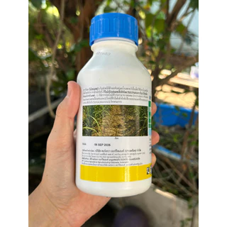 การ์ลอน ขนาด 500 ซีซี สารกำจัดตอไม้ รากไม้ ยาฆ่าตอไม้ ทำลายตอไม้ ป้ายตอไม้ กำจัดราก กำจัดวัชพืช