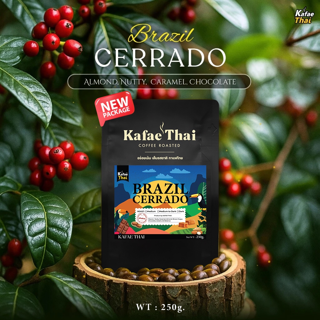 [ส่งฟรี] เมล็ดกาเเฟคั่ว Brazil Cerrado by KafaeThai  ขนาด 250 กรัม