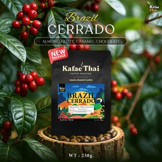 [ส่งฟรี] เมล็ดกาเเฟคั่ว Brazil Cerrado by KafaeThai ขนาด 250 กรัม
