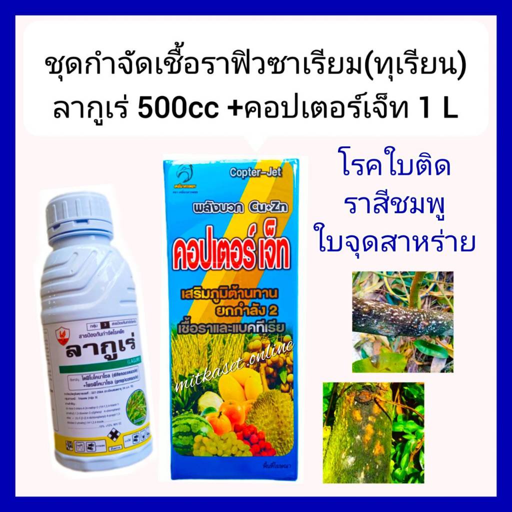 กำจัดเชื้อรา ยาราทุเรียน เชื้อราฟิวซาเรียม โรคกิ่งแห้งทุเรียน คอปเตอร์เจ็ท คอปเปอร์น้ำขนาด 1ลิตร+ลากูเร่ 500cc ราสีชมพู – โปรปัง