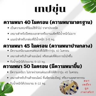 [ยกลัง]เทปขุ่น(น้ำตาล) 2นิ้ว หนา 38,40,45,50 Mic ยาว45/100หลาเต็ม คุณภาพสูง มาตรฐาน เกรดอุตสาหกรรม