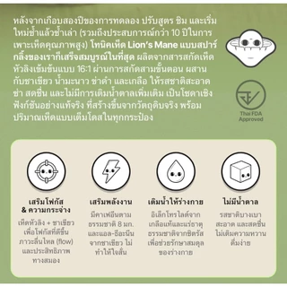 เครื่องดื่มโซดาเห็ดหัวลิง l Lion's Mane Green Tea Lime Juice Black Galangal Salt l เหมาะกับวันใช้สมาธิ I 10 กระป๋อง/แพ็ค
