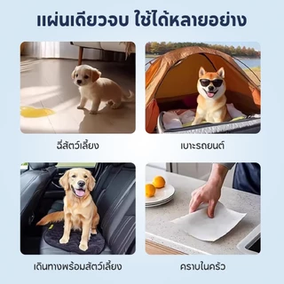 TUBI🏆Pet Pee Paper50แผ่น🏆แผ่นซับฉี่ กระดาษเช็ดฉี่สัตว์เลี้ยงคุณภาพดี ซึมซับได้เร็ว กำจัดกลิ่นได้ดี ไม่ทิ้งคราบฉี่