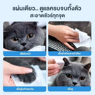 [คุ้มสุด] MOMOVIDA Pet Wipes ผ้าเปียกเช็ดทำความสะอาดสัตว์เลี้ยง ทิชชู่เปียก สูตรอ่อนโยน ยับยั้งแบคทีเรีย ห่อใหญ่ 80 แผ่น