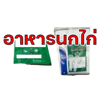 อาหารนก ไก่ ซอง 20g. และกระปุกละ100 กรัม แพ็คคู่ 2 กระปุก
