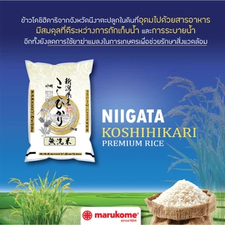 SHINMEI NIIGATA KOSHIHIKARI RICE ข้าวญี่ปุ่นพรีเมี่ยม (ข้าวโคชิ ฮิคาริ) ข้าวที่ไม่ต้องล้างก่อนหุง