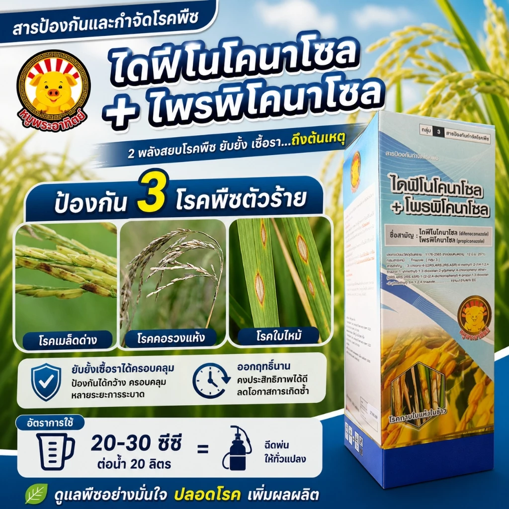 ไดฟีโนโคนาโซล+ไพรพิโคนาโซล ( 1L ) สารป้องกันกำจัดโรคพืช โรคเมล็ดด่าง โรคใบไหม้ เมล็ดลาย ดอกกระถิน