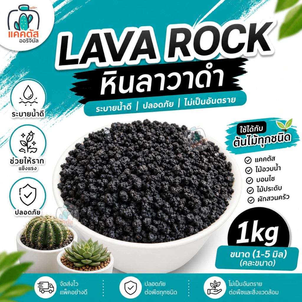 หินภูเขาไฟดำ (หินลาวาดำ Black lava) บรรจุถุง 1 กิโล ขนาด1-5 มิล วัสดุปลูก ผสมดิน โรยหน้ากระถาง แคคตัส (กระบองเพชร) บอนไซ