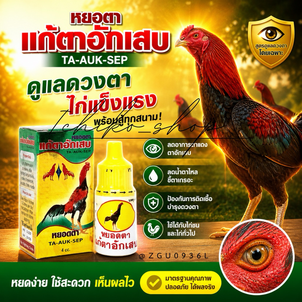 สำหรับ ไก่ หยอดตา สำหรับไก่ชน
