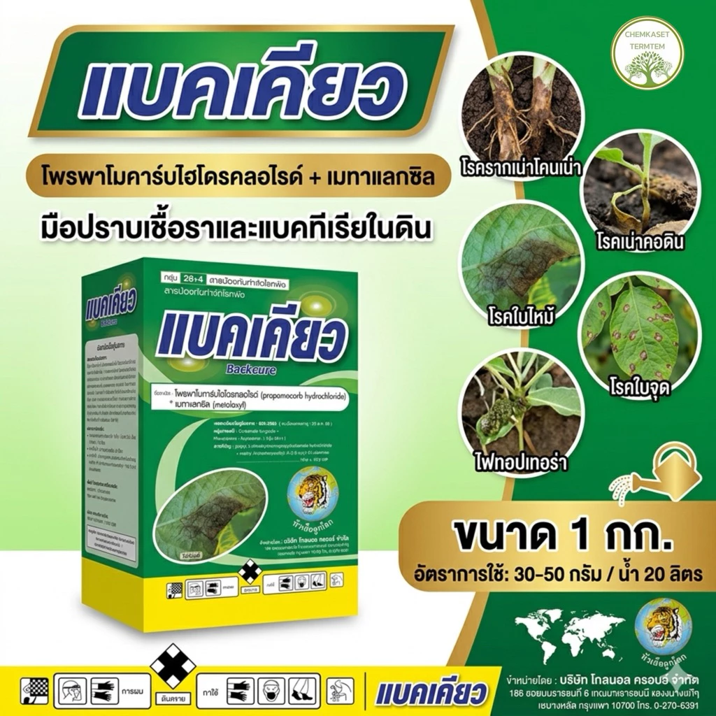 แบคเคียว ขนาด 1กิโลกรัม โพรพาโมคาร์บ+เมทาแลกซิล สารป้องกันกำจัดโรคพืช ใบไหม้ รากเน่า โครเน่า ไฟท็อป