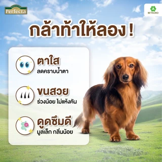 Perfecta อาหารสุนัข เกรดพรีเมี่ยม สุนัขโต พันธุ์เล็ก 1 ปี ขึ้นไป สูตรไก่ เนื้อสดแท้ Human grade ขนาด 3 กก.