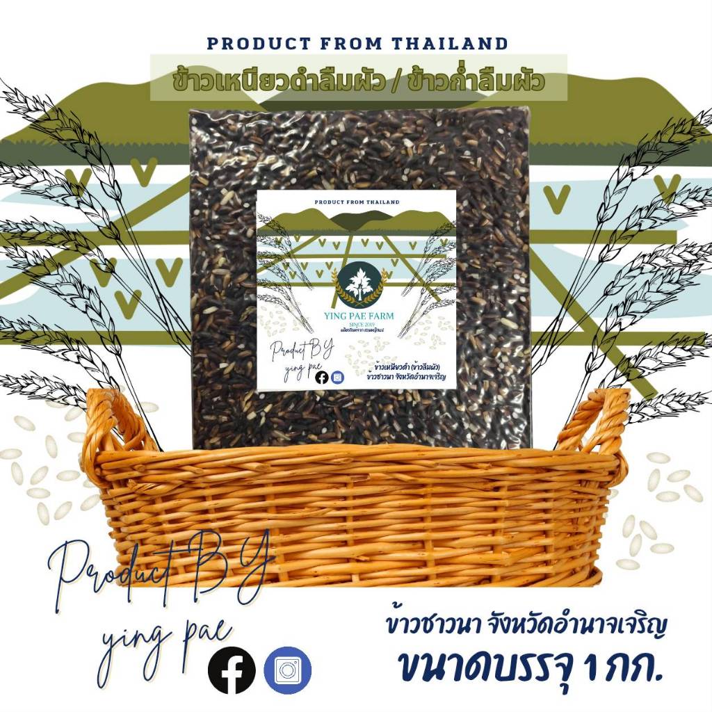 YING PAE FARM ข้าวเหนียวดำ(ลืมผัว) ข้าวใหม่ ข้าวนาปี ข้าวเพื่อสุขภาพ ชาวนาไทย จังหวัดอำนาจเจริญ ขนาดบรรจุ 1 กก.