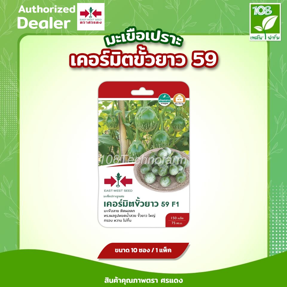ผักซอง เมล็ดพันธุ์ มะเขือเปราะคางกบ เคอร์มิตขั้วยาว 59 ตราศรแดง