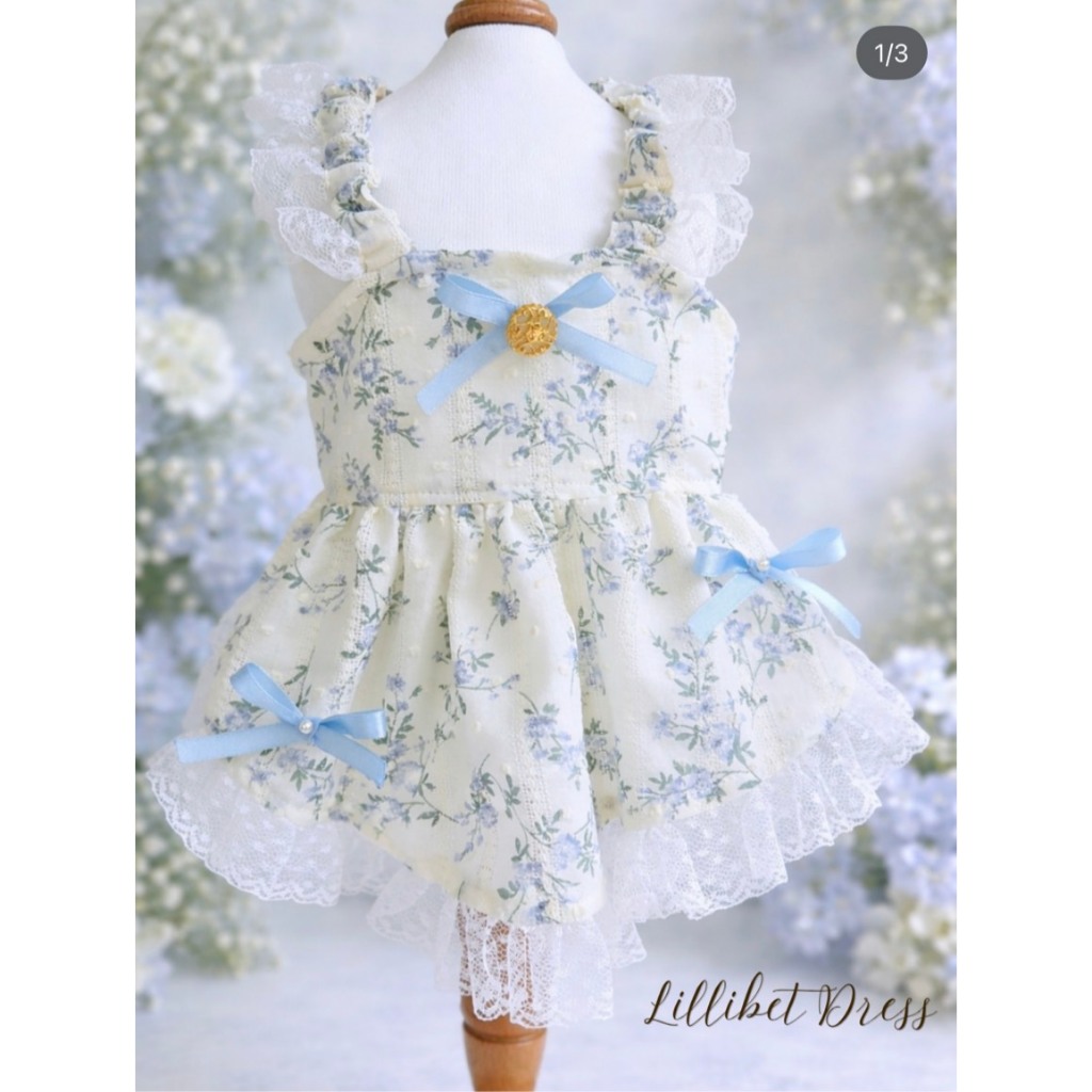 Dogster & Pals: Lilibet Dress
