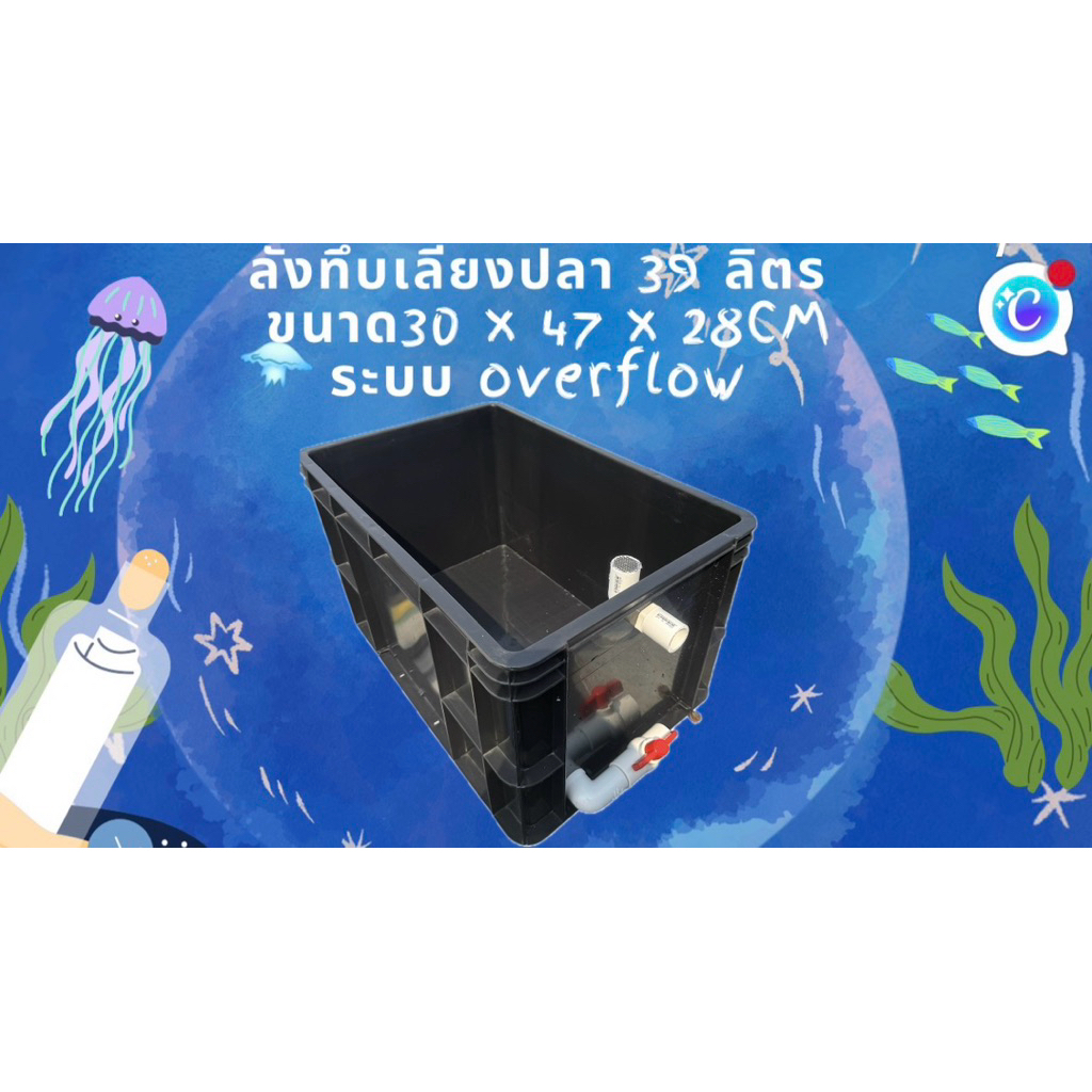 ลังทึบเลี้ยงปลาสีดำ 39 ลิตร ระบบoverflow วาล์วขาว อ่างเปล อ่างปลาบอลลูน อ่างปลาหางนกยูง อ่างเลี้ยงปล