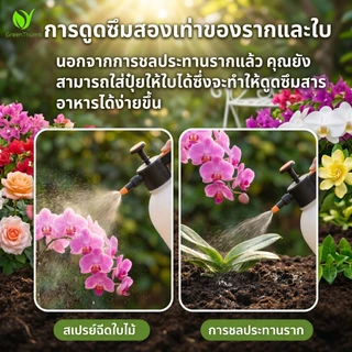 【GreenThumb】ปุ๋ยบำรุงพืช พแทสเซียมไดไฮโดรเจนฟอสเฟต 250 กรัม เร่งดอก เร่งตา ป้องกันใบเหลือง ใบม้วน ใช้ได้กับไม้ดอก ไม้ผล