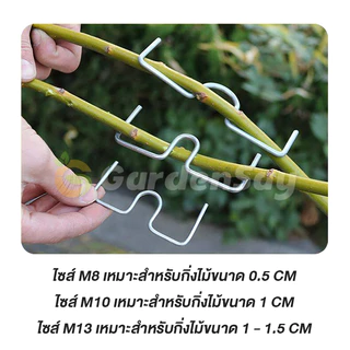 ที่ดัดกิ่งไม้ รูปตัว M อุปกรณ์ดัดกิ่งต้นไม้ ลวดดัดกิ่ง จัดทรงพุ่มไม้ ผลไม้ บอนไซ แข็งแรง ทนทาน ไม่เป็นสนิม (มี 3 ขนาด)