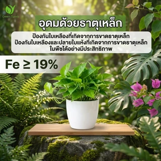 【GreenThumb】เฟอร์รัสซัลเฟต 250 กรัม ปรับสภาพดิน ลดความเป็นด่าง บำรุงธาตุเหล็ก ป้องกันใบเหลือง ใช้ได้กับไม้ใบ ไม้กระถาง