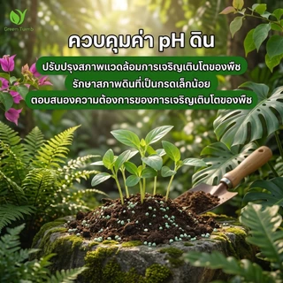 【GreenThumb】เฟอร์รัสซัลเฟต 250 กรัม ปรับสภาพดิน ลดความเป็นด่าง บำรุงธาตุเหล็ก ป้องกันใบเหลือง ใช้ได้กับไม้ใบ ไม้กระถาง