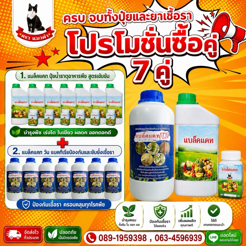โปรโมชั่นซื้อคู่ 7คู่(โปรฯโหดโคตรคุ้ม) ปุ๋ยแบล็คแคทและยาเชื้อราแบล็คแคทONE