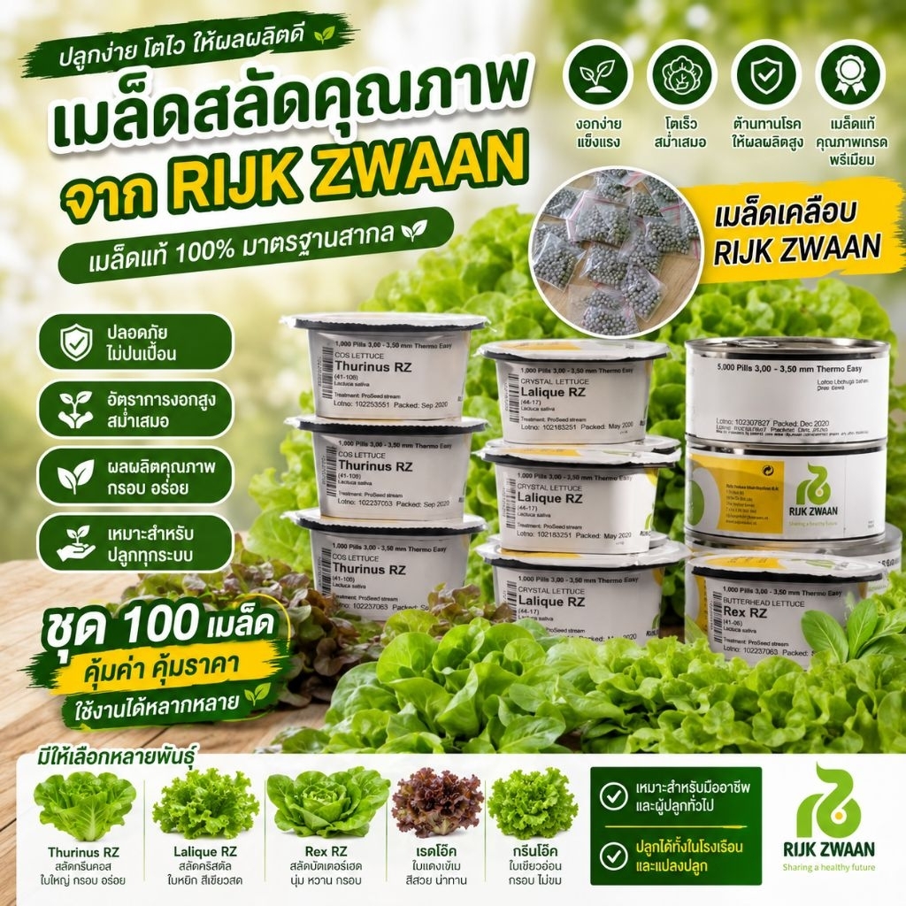 เมล็ดพันธุ์ผักสลัด นำเข้า [RIJK ZWAAN] แบบแบ่งขาย 100 เมล็ด