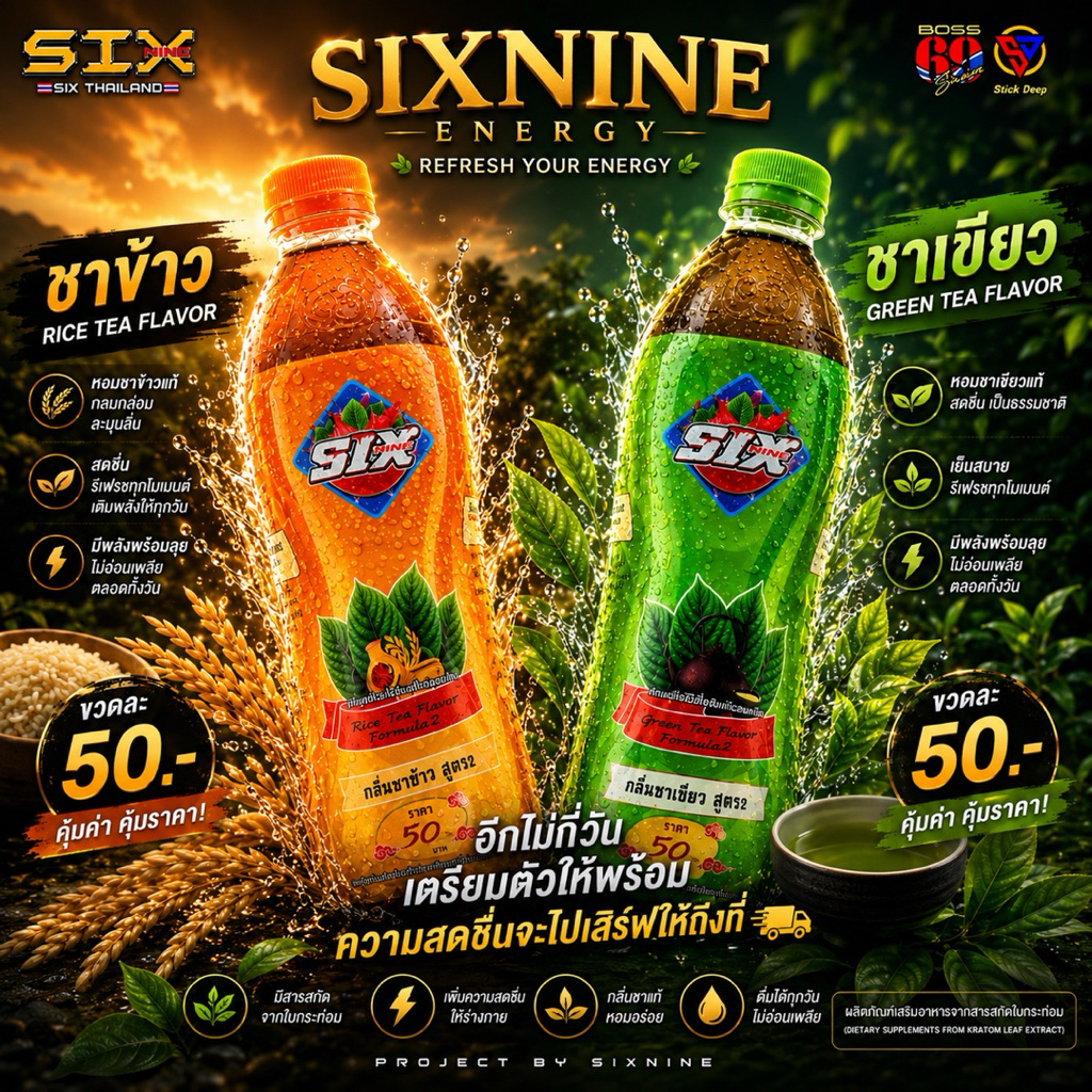 Six nine 69 ชาเขียว ชาข้าว 1แพ็ค 12ขวด