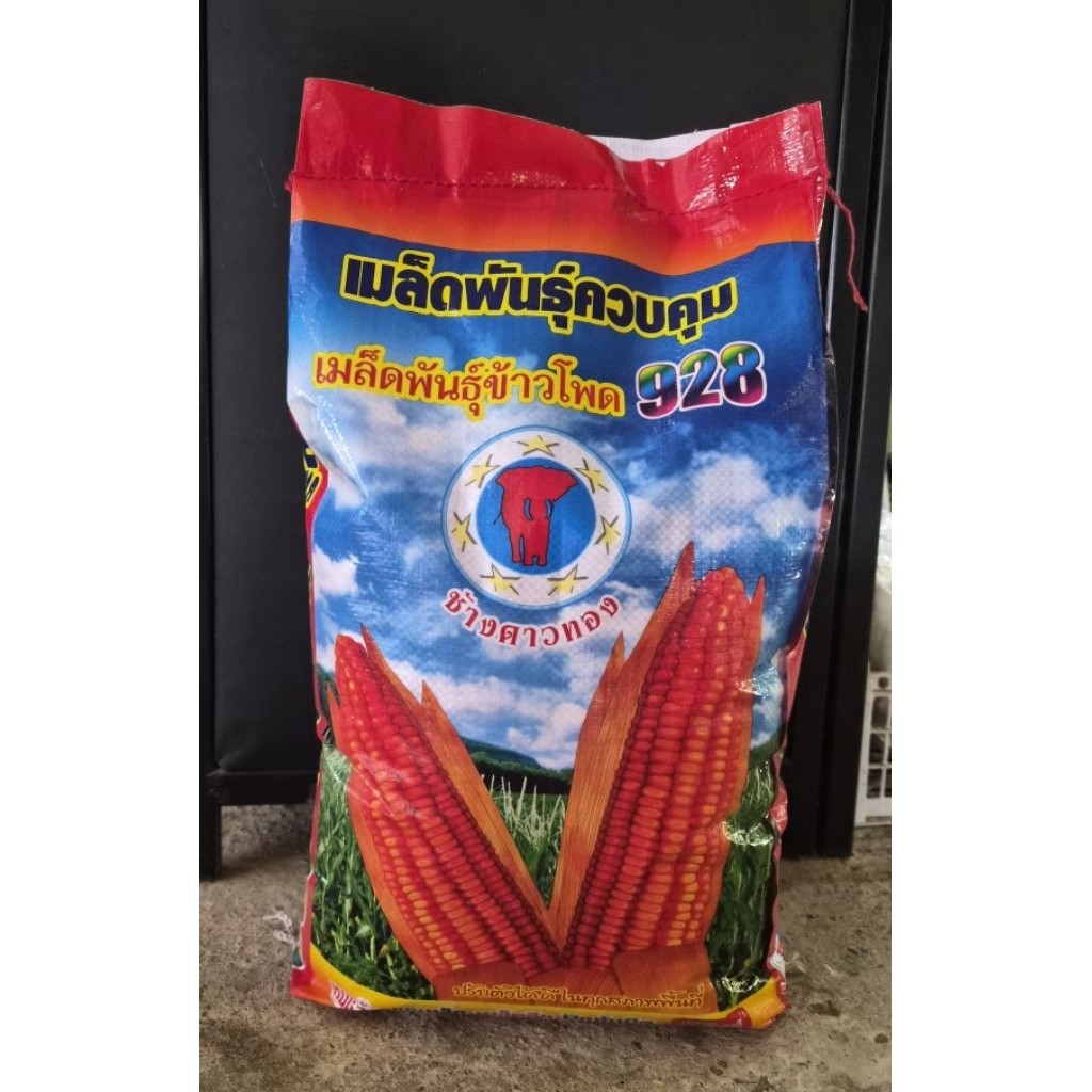 เมล็ดพันธุ์ข้าวโพดอาหารสัตว์ บรรจุ 10กิโลกรัม