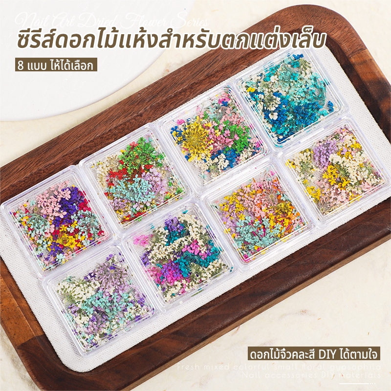 MAYDING อะไหล่ตกแต่งเล็บ  ตกแต่ง ของตกแต่งเล็บดอกไม้แห้ง  มีให้เลือก 8 แบบ