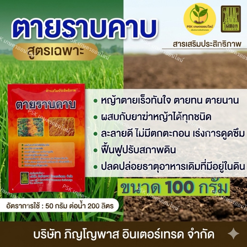 ตายราบคาบ ขนาด 100กรัม สารเสริมฆ่าหญ้า เนื้อละเอียด ละลายง่าย สารเสริมยาฆ่าหญ้า สารเพิ่มฤทธิ์ฆ่าหญ้า