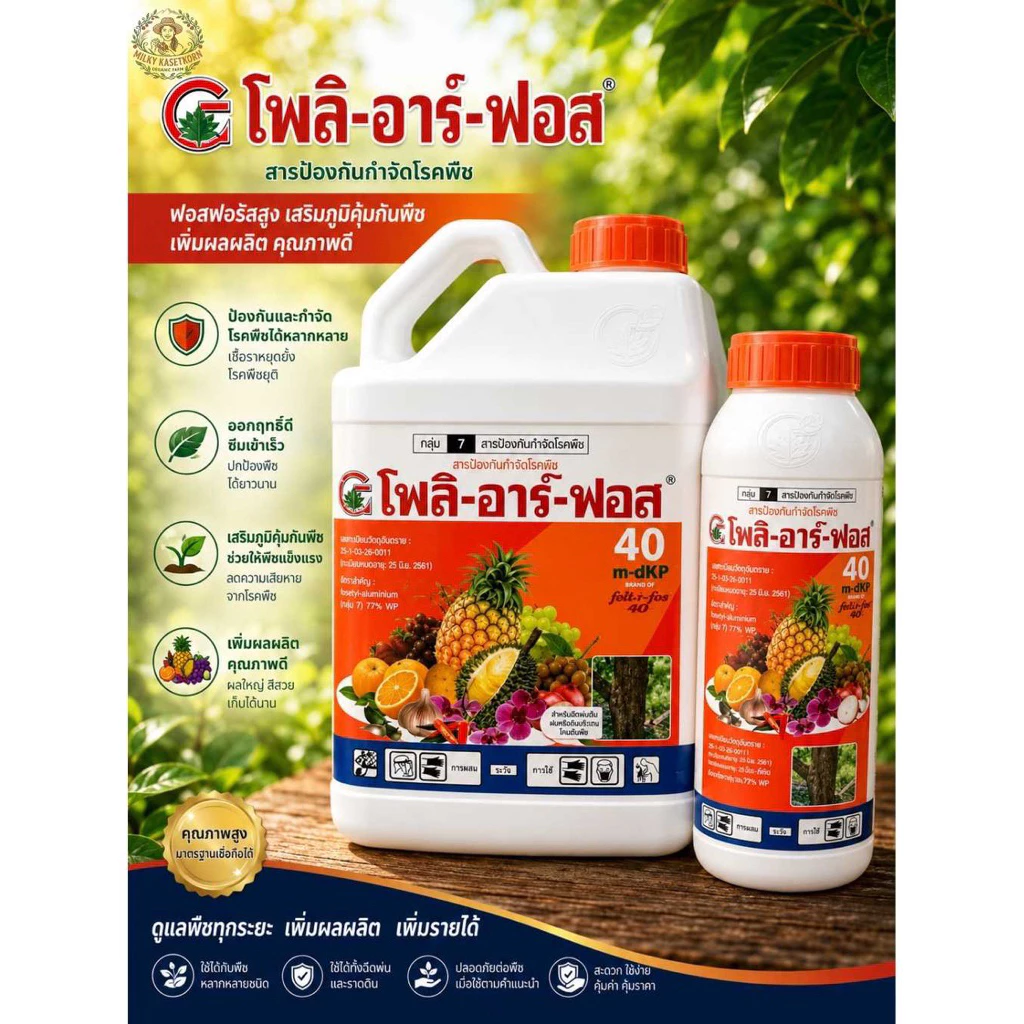 โฟลิอาร์ฟอส 40 (กรดฟอสฟอนิก phosphonic acid 40%W/V SL) ขนาด 1ลิตรและ 1แกลลอน(5ลิตร)