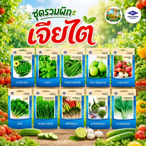 รวมผักเจียไต๋ (ชุดที่2)ผักซองเจียไต๋ มีให้เลือกมากว่า 45 ชนิด เมล็ดพันธุ์
