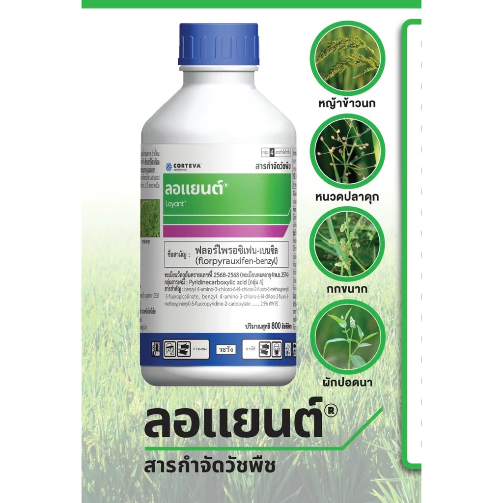 ลอแยนต์ ขนาด 800 ซีซี ฟลอร์ไพรอซิเฟน-เบน สารใหม่ กำจัดหญ้าใบแคบ ใบกว้าง กก หญ้าข้าวนก หญ้าแดง ผักปอด หนวดปลาดุก ข้าวไม่แ